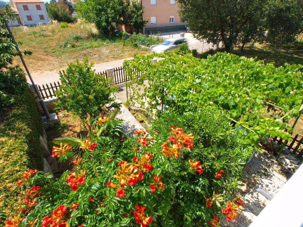 Apartments Zlatko 1397 斯廷佳 外观 照片